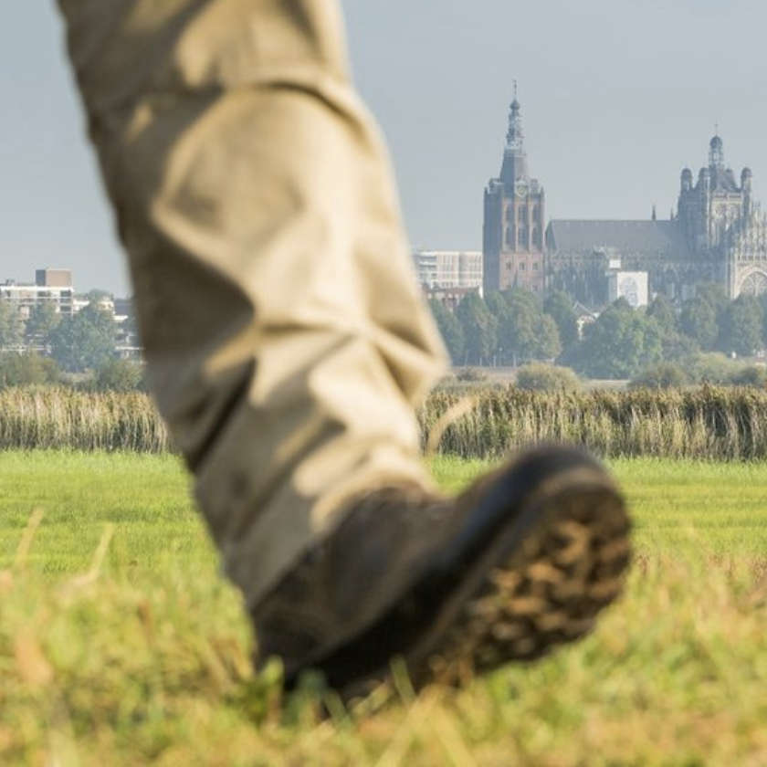 Scherm­afbeelding%202024 12 20%20om%2015.59.11